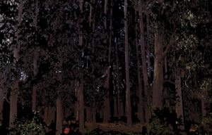 Infrastructure LiDAR Mapping