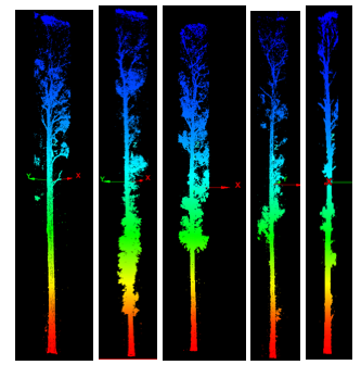 Good stem extraction example