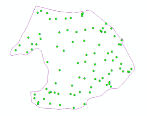 Centroids of all candidate tree bases with performance ratings visualization